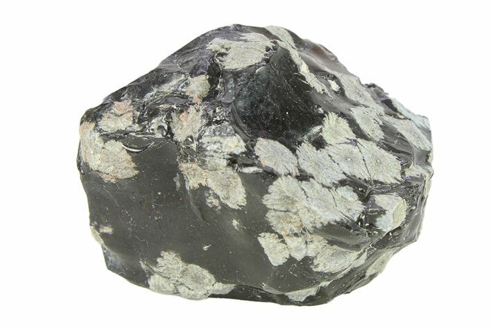 Snowflake Obsidian Section - Utah #285924